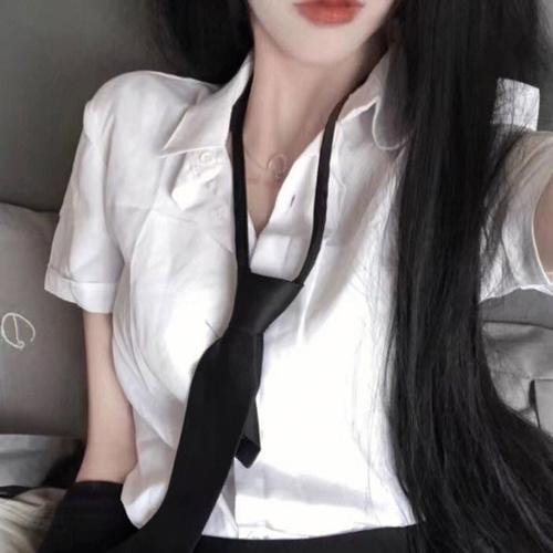间谍兔洞第一季